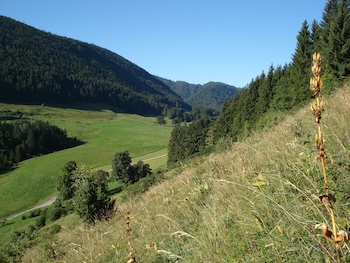 Landschaft Subigerberg